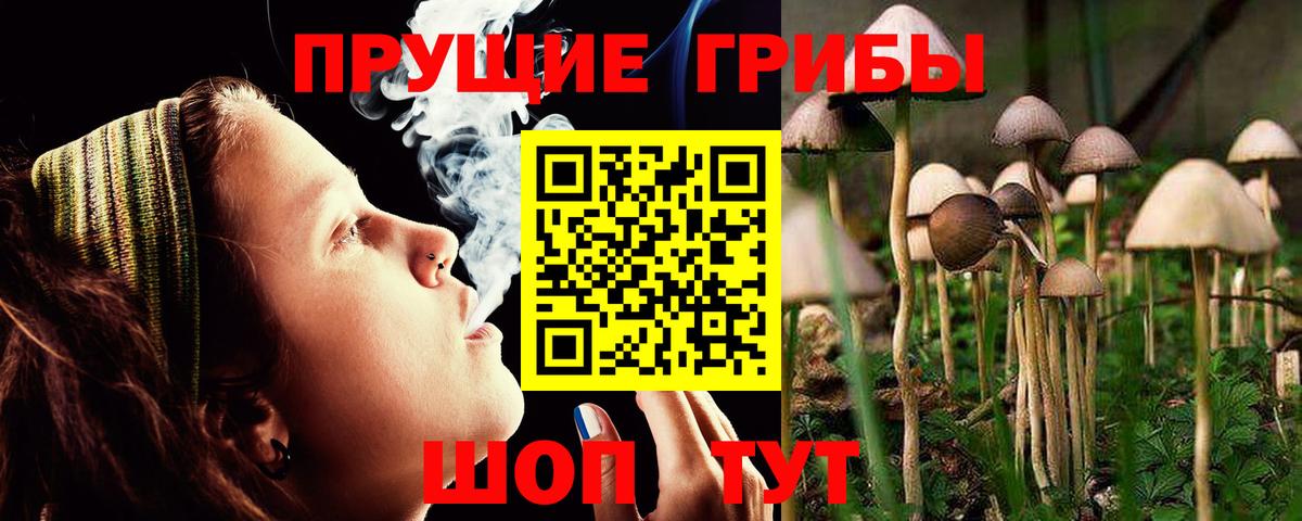 Галлюциногенные грибы MAGIC MUSHROOMS  Вход с VPN  Кимовск 
